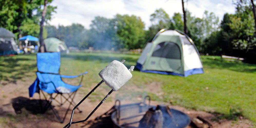 Photo de fond du header